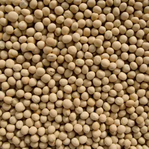 Russia Emerges as a Major Player in the Global Yellow Peas Market