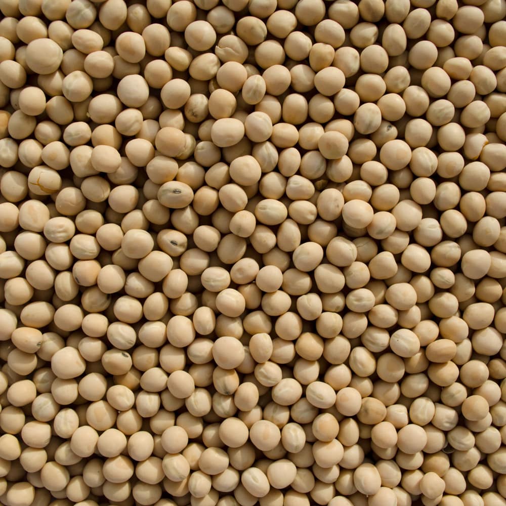 Russia Emerges as a Major Player in the Global Yellow Peas Market