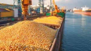 Corn: A Commodity Outlook