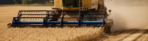 Global Rice and Wheat Markets: Production Surplus Amidst Trade Constraints