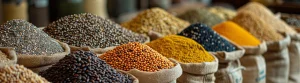 Saskatchewan Pulse Harvest 2024: Opportunities and Challenges