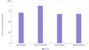 Black Matpe Prices Surge: Impact of Poor Indian Crop Quality and Low Myanmar Stocks