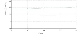 Line graph showing the price trend of wheat over the last 28 days, highlighting a significant price increase during the last weekend, measured in dollars per bushel