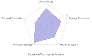 Radar graph showing the factors affecting the urad (black matpe) market in 2024, including Myanmar supply, acreage reduction, crop damage, demand fluctuations, and weather forecasts