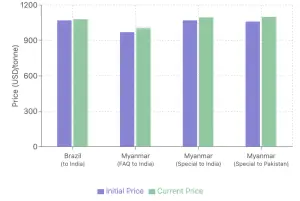 Black Matpe Prices Surge: Impact of Poor Indian Crop Quality and Low Myanmar Stocks
