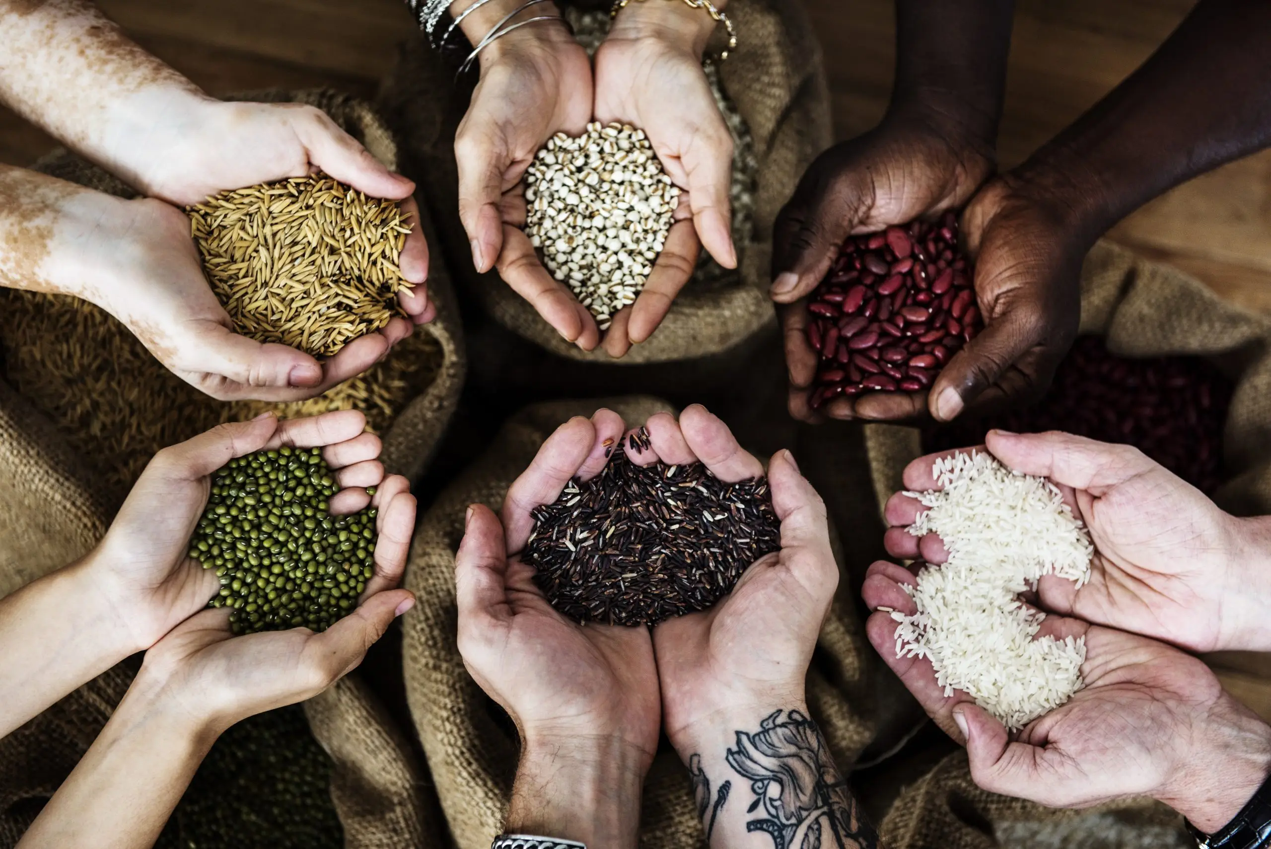 India's Kharif Crop Outlook and Global Cashew Market Trends