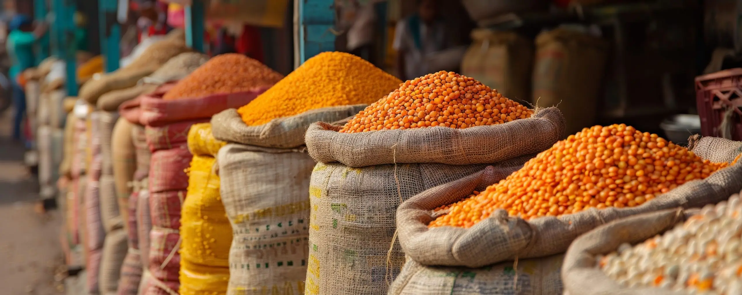 Red Lentil Market Outlook: How India’s Stockpile is Shaping 2024-25