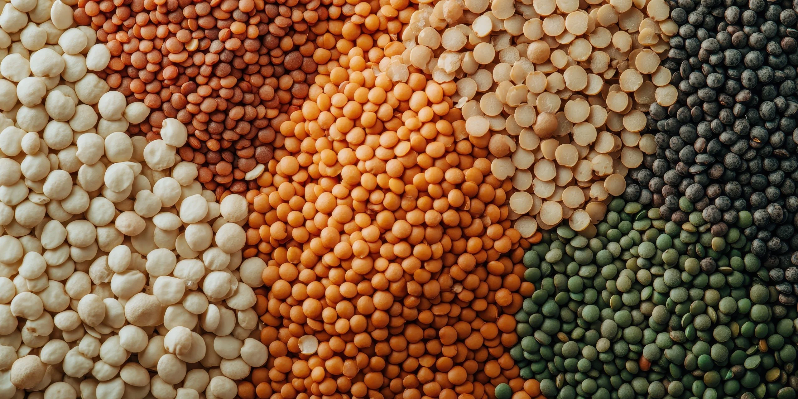 Indian Pulse Procurement Exceeds 400,000 Tonnes: Market Impact and Future Outlook