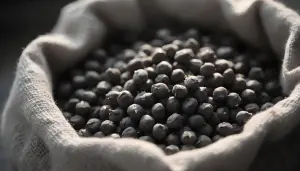 Global Chickpea Market Analysis: Supply, Demand, and Price Trends