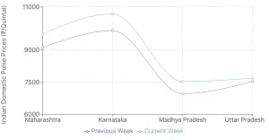 Global Pulses Market Analysis: India's Influence on Global Trends