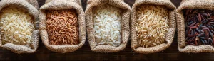 Global Rice Market Analysis: India's Policy Shift Reshapes Trade Dynamics