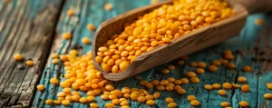 Global Yellow Peas Market Shifts: Russia Raises Prices Following China's Tariff on Canadian Imports