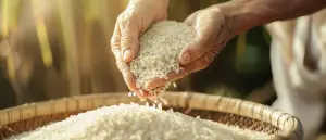 Global Rice Market Update: India's Entry into Indonesian Tender Signals Shifting Dynamics