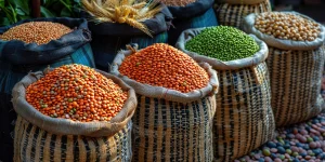 Pulse Market Dynamics: 5 Key Ways Russia's Strategic Pricing Drives Global Trading Success