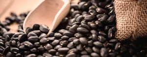 Myanmar Black Matpe Price Trends: Market Stabilization and India's Influence