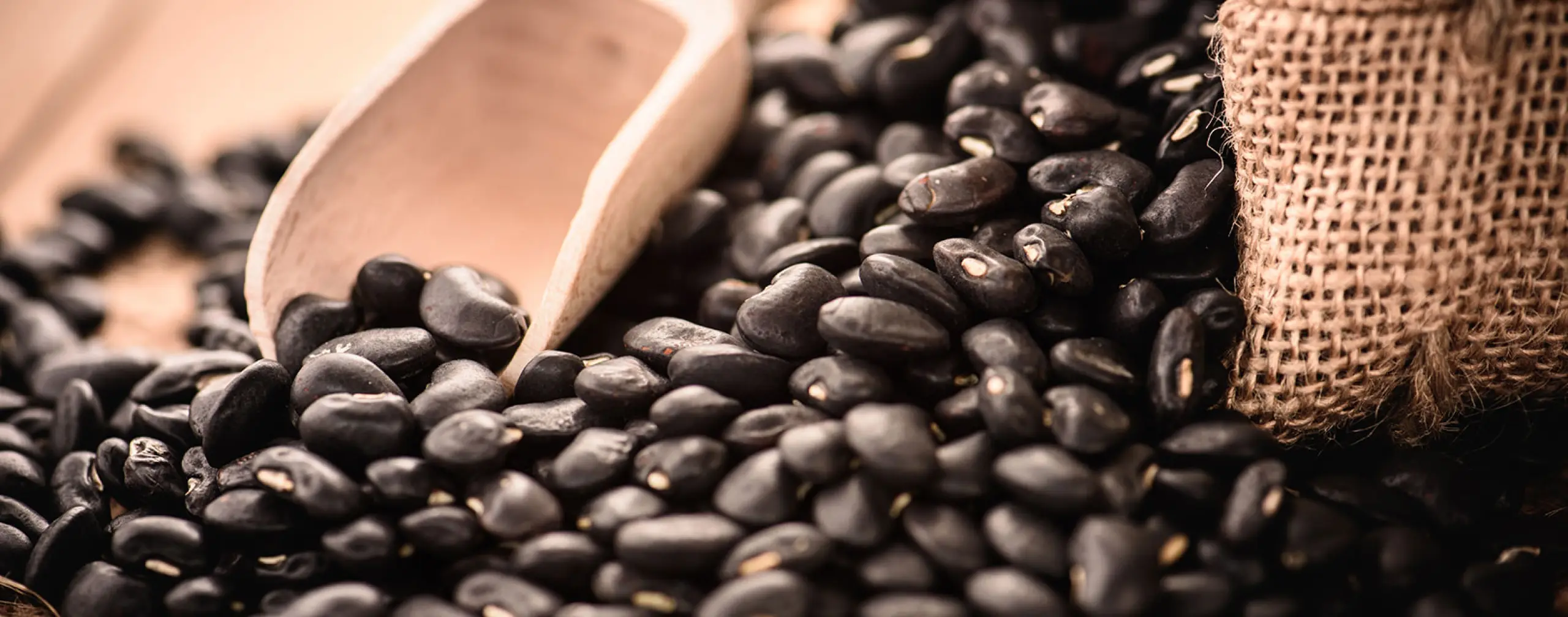 Myanmar Black Matpe Price Trends: Market Stabilization and India's Influence