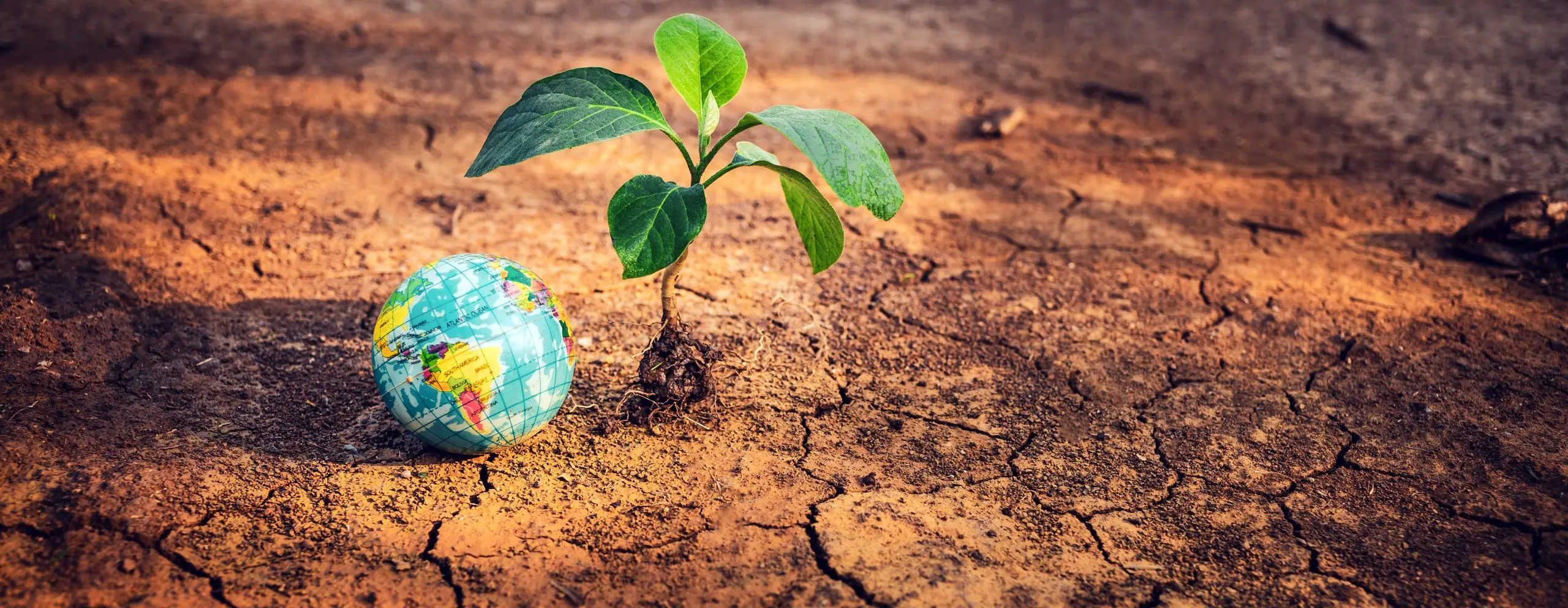 Global Winter Weather Outlook: Implications for Agricultural Commodities Markets