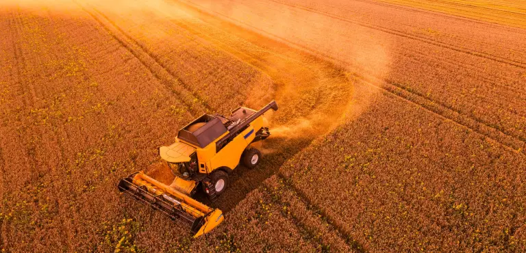 Kharif Crop cover image showing a vibrant Indian farmland landscape during harvest season, with lush rice and corn fields, farmers working in the background, and a clear sky symbolising record production and strong agricultural output for 2025.