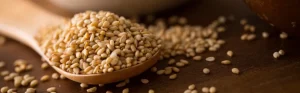 Global Sesame Market Update: Indian Exports Rise Amid Production Gains