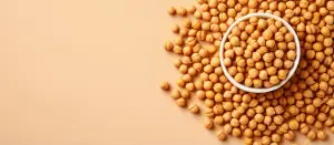 Australian chickpea market analysis showing lentil crop forecast data with pulse trading trends charts displaying agricultural commodity prices and global harvest outlook statistics across major producing regions