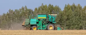 India's Desi Chickpea Market: Price Support Programs and Market Dynamics