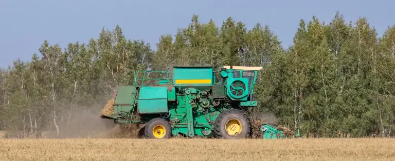 India's Desi Chickpea Market: Price Support Programs and Market Dynamics