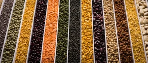 global pulse market update