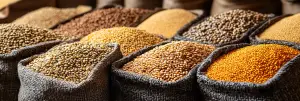 Trading Pulses in a Bearish Market: Lessons from 2024