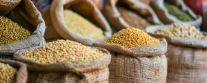 Global Pulses Market Update: Navigating Bearish Trends and Trade Dynamics