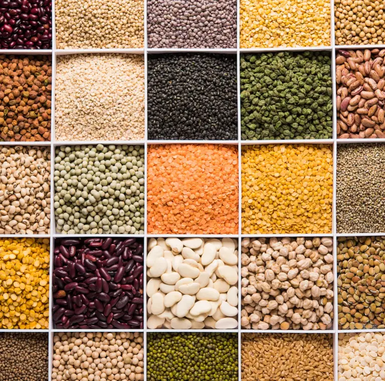Pulse Market Dynamics: 5 Key Ways Russia's Strategic Pricing Drives Global Trading Success