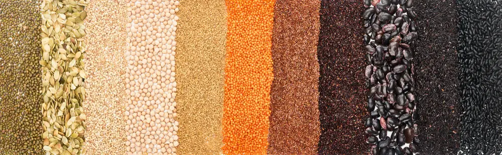 IGC outlook showing global grains production and trade trends with record maize and wheat output contributing to a bearish market forecast.