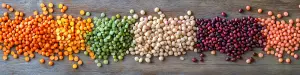 Black Sea pulses production map with Russia chickpea exports, Australia lentils, and global pulse prices trends to major importing markets