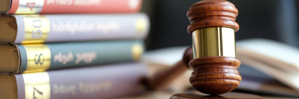 GM food imports regulatory ban India Rajasthan High Court ruling impact on agricultural commodities trade