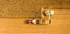 Russian Wheat harvest being loaded for export, depicting falling global wheat prices and supply challenges affecting international grain markets