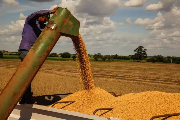 Trade GM Soymeal Corn Policy – Illustration showing India–US trade discussions with visuals of soymeal, corn, and policy documents, representing India’s cautious approach to GM crop imports