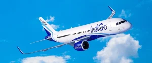 Indigo Disruptions: Lessons for Businesses From a Supply Chain Breakdown