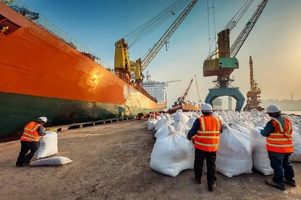 Coarse Grains Market Turns Bearish as Prices Fall 9%