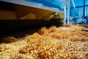 Soybean crushing factory