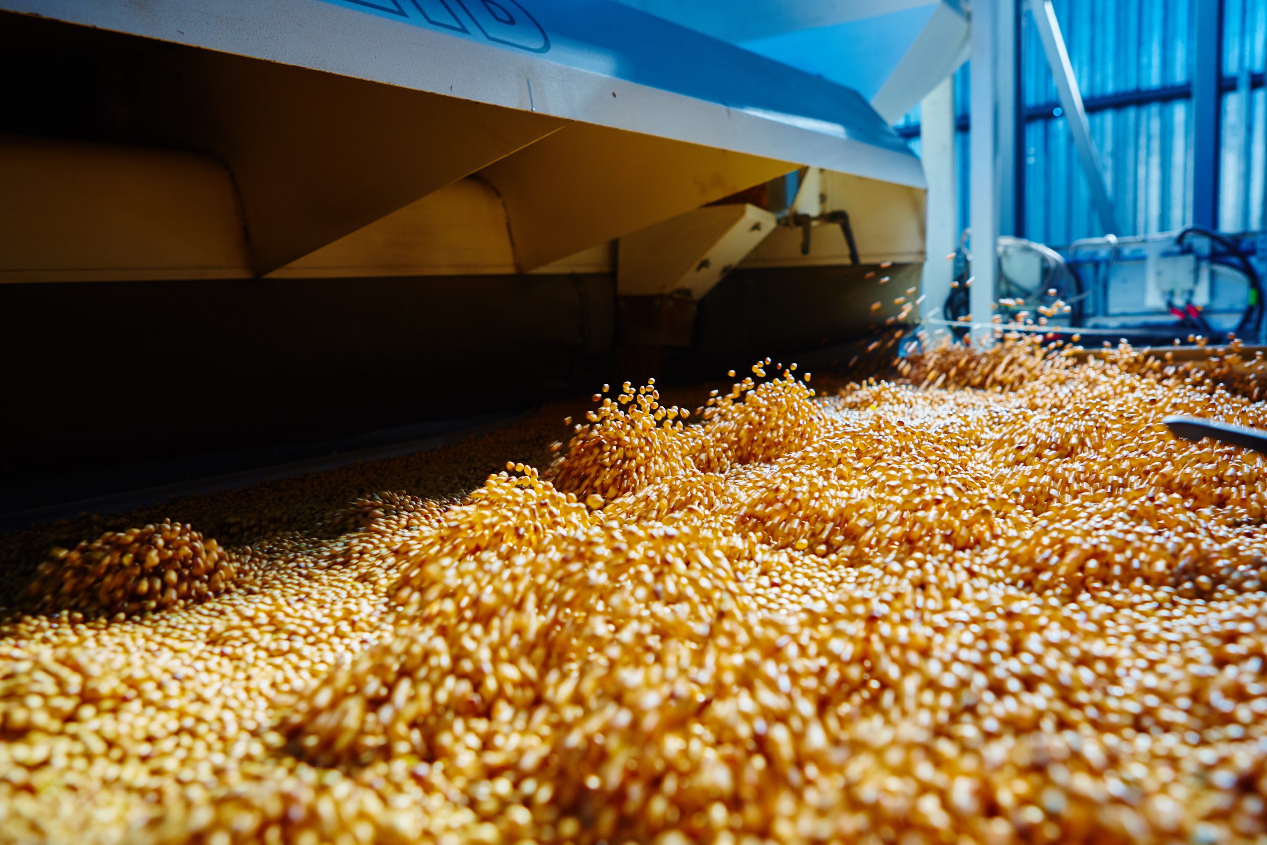 Soybean crushing factory