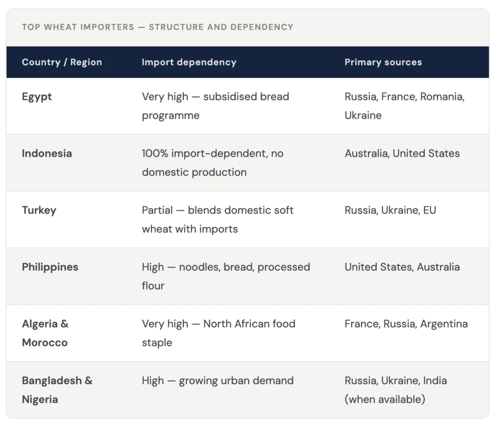 The Global Wheat Market: Supply, Demand, and What Drives Prices