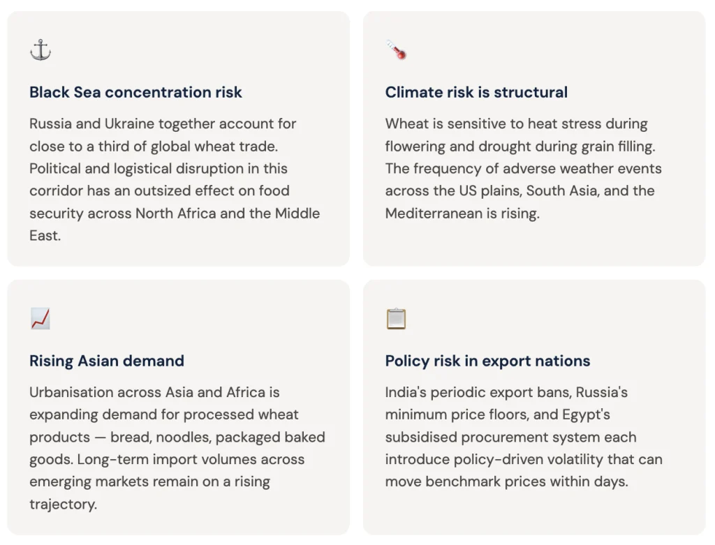 The Global Wheat Market: Supply, Demand, and What Drives Prices
