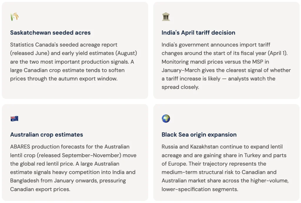 Red Lentils in Global Trade: Canada's Dominance and South Asia's Demand Story