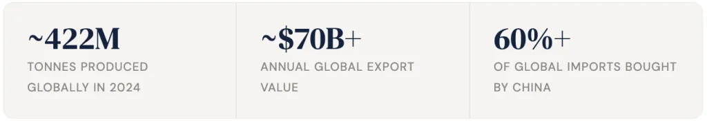 Global Soybean Market: Origins, Trade Flows, and Price Drivers