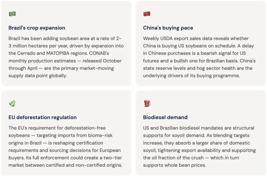 Soybean global market