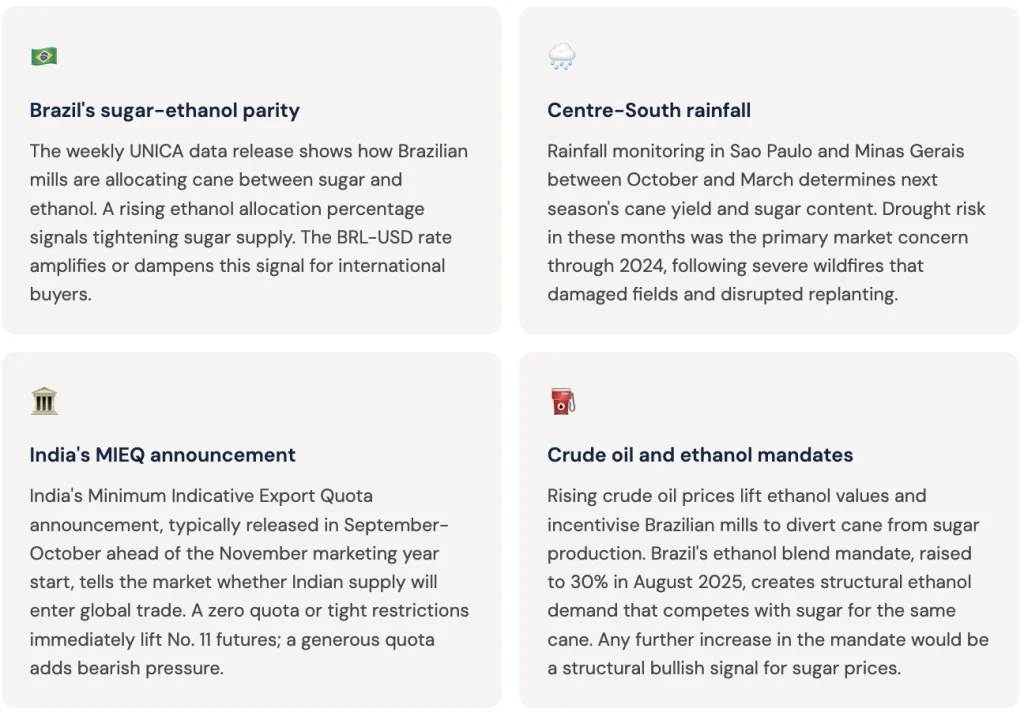 what to watch in the global sugar market.