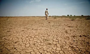 El Nino La Nina agriculture impact on global crop production and commodity markets