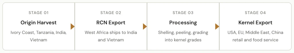 raw cashew nut supply chain