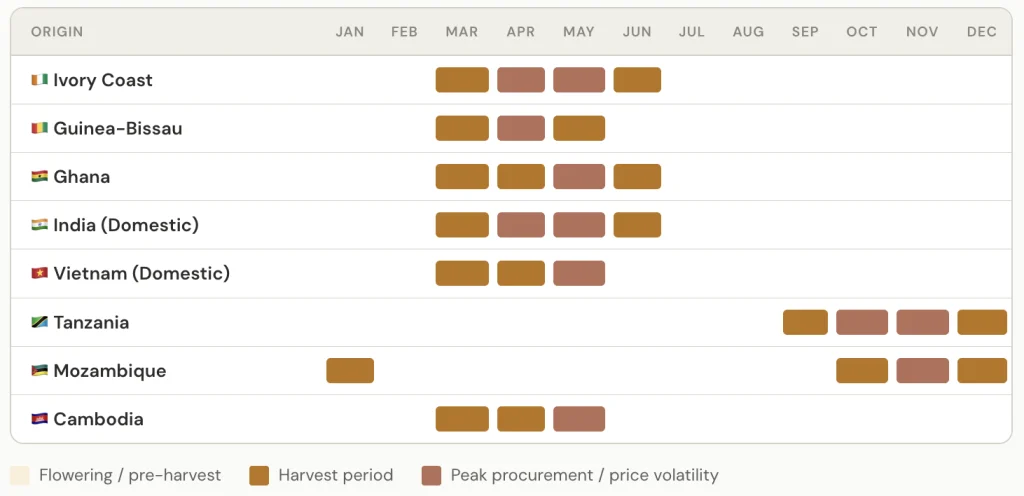 raw cashew nut Harvest Calendar
