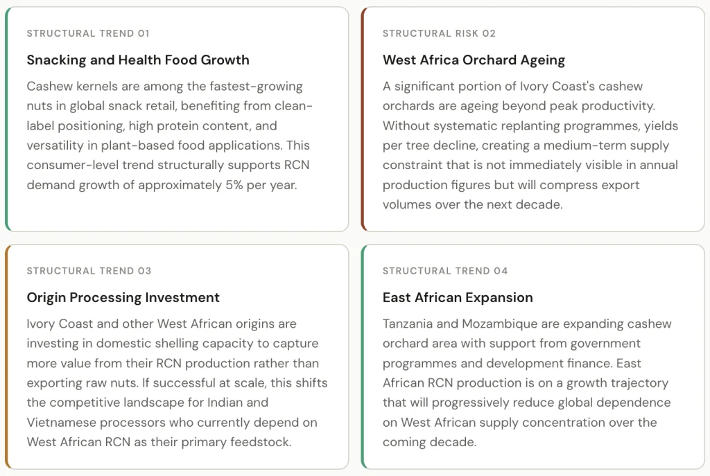 Raw Cashew Nuts: Inside the Supply Chain That Runs from West Africa to the World's Snack Aisle