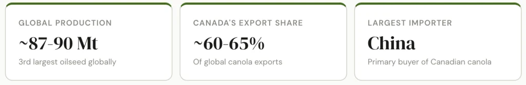 rapeseed/ canola global market overview